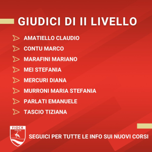 giudici di secondo livello